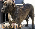 Click here for Bessie's page