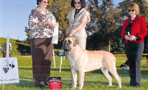 Ringsides Kennel